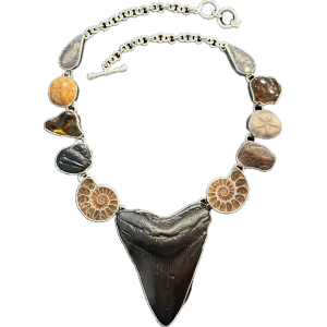Fossil Necklace-Megalodon in Silver