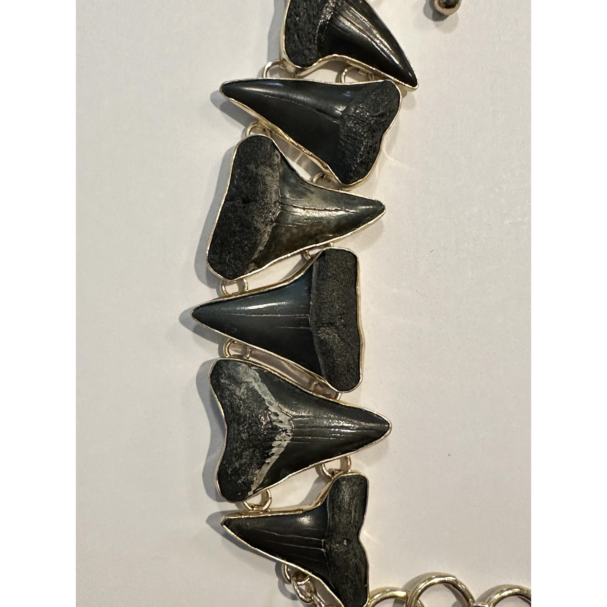 Megalodon shark tooth bracelet Prehistoric Online