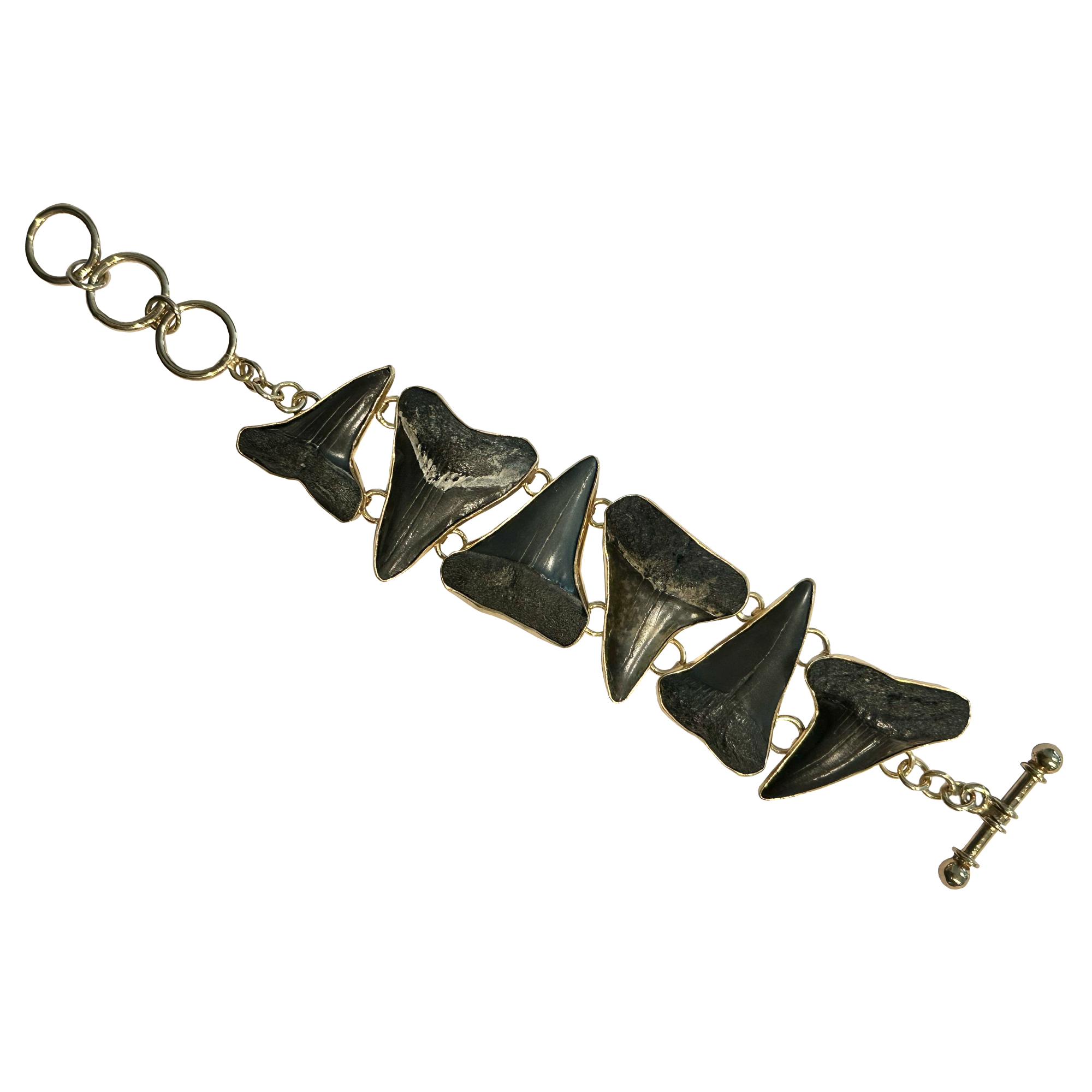 Megalodon shark tooth bracelet Prehistoric Online