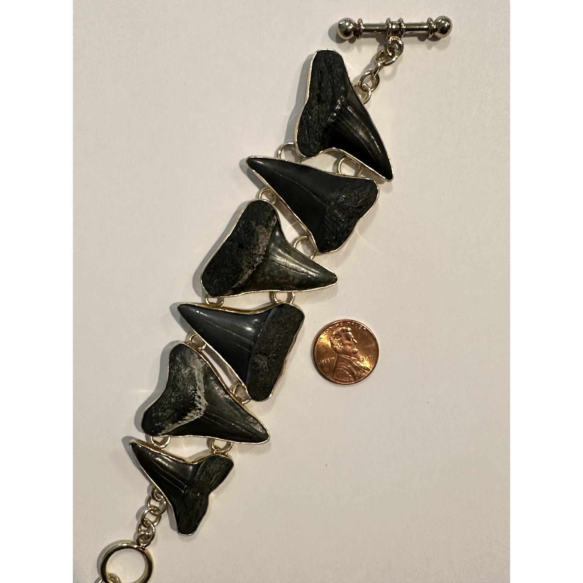 Megalodon shark tooth bracelet Prehistoric Online