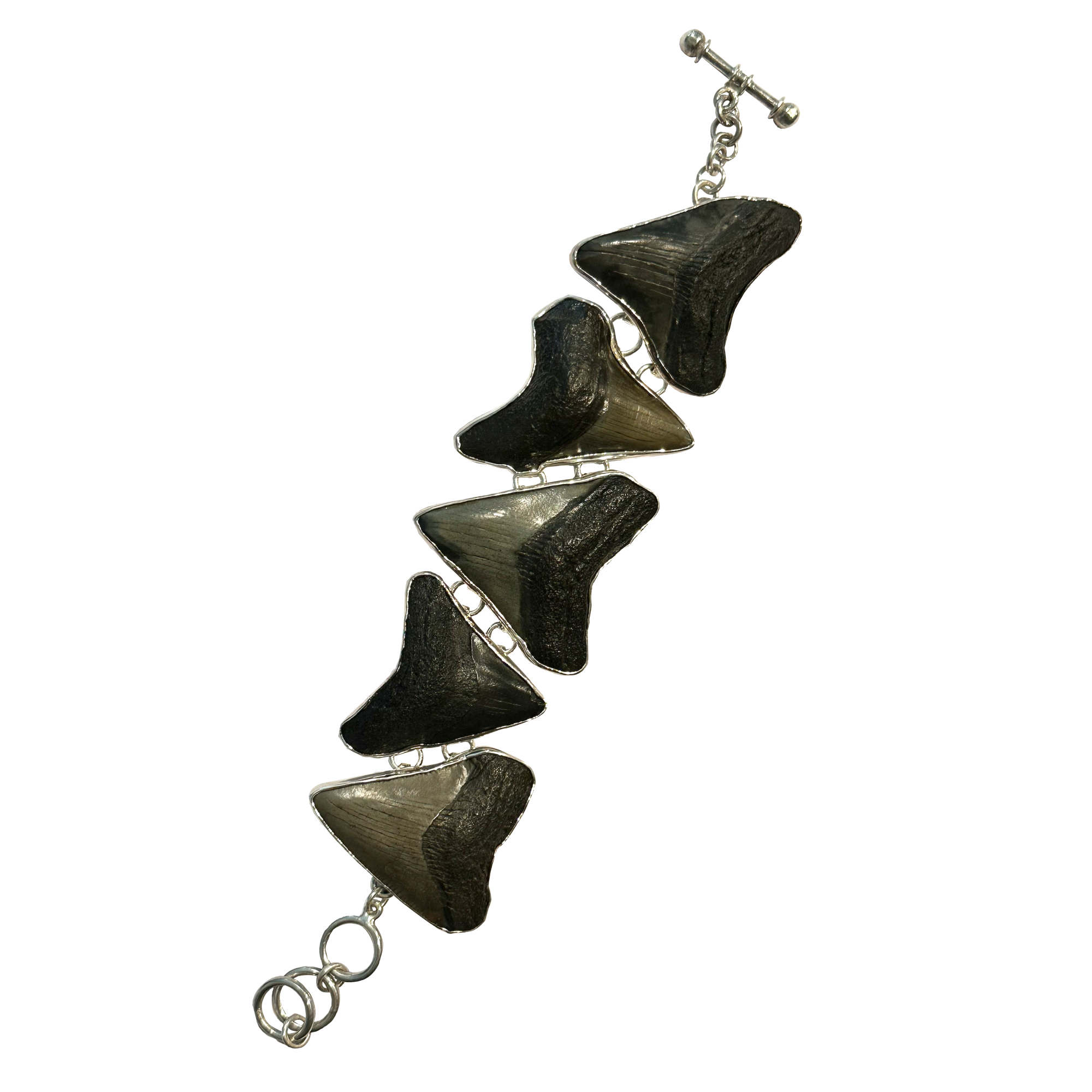 Megalodon shark tooth bracelet, Silver Prehistoric Online