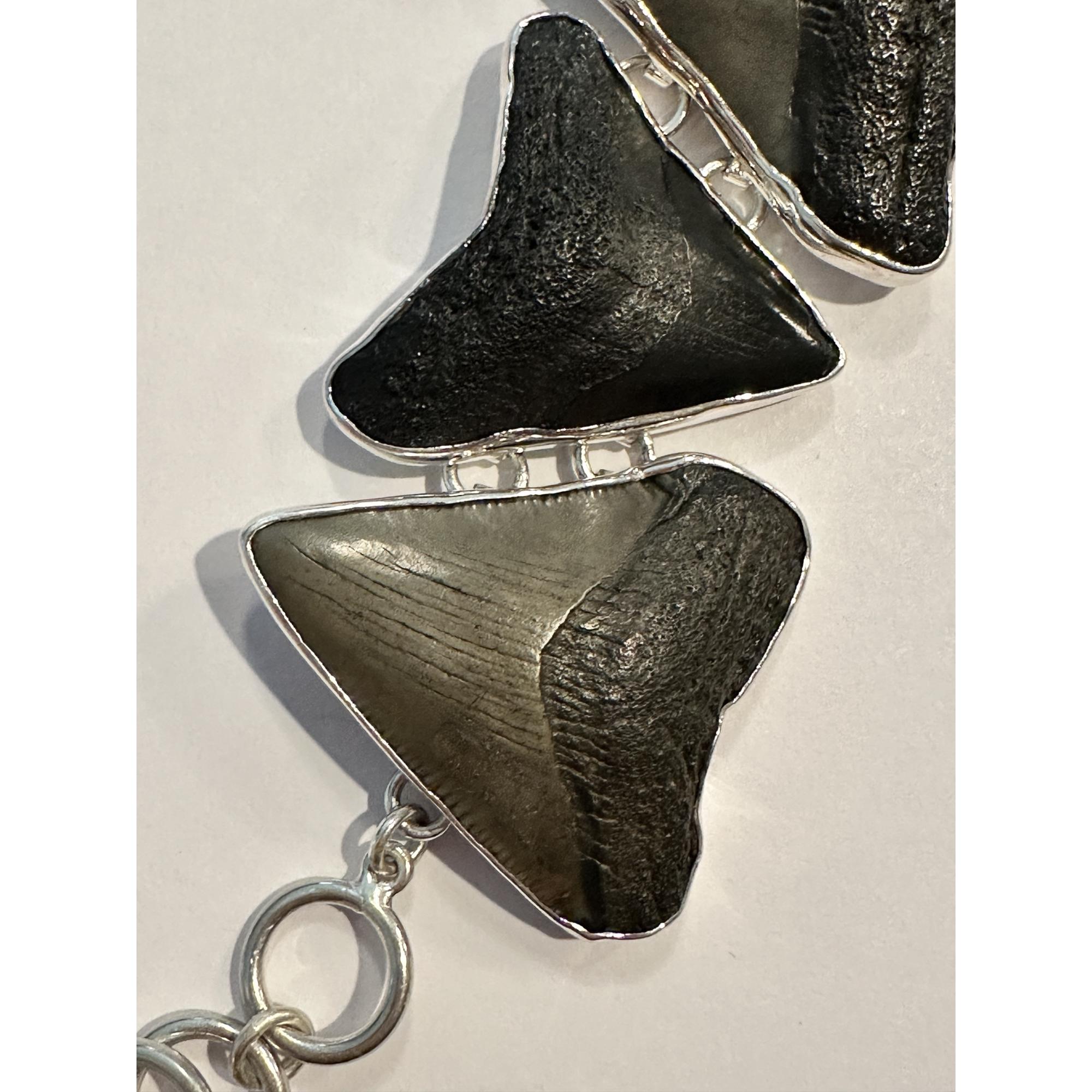 Megalodon shark tooth bracelet, Silver Prehistoric Online