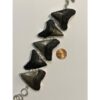 Megalodon shark tooth bracelet, Silver Prehistoric Online