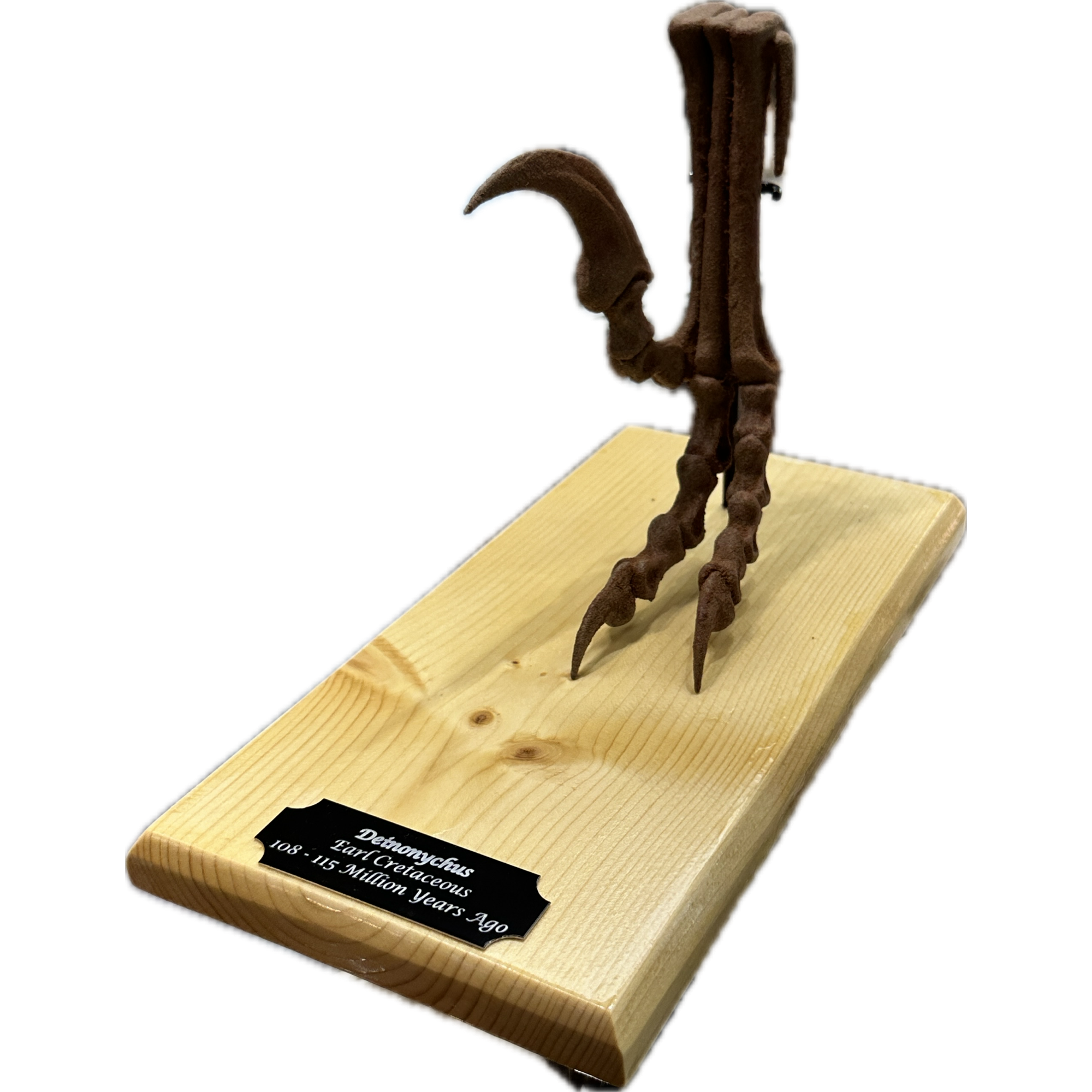 Deinonychus foot replica, killing claw Prehistoric Online