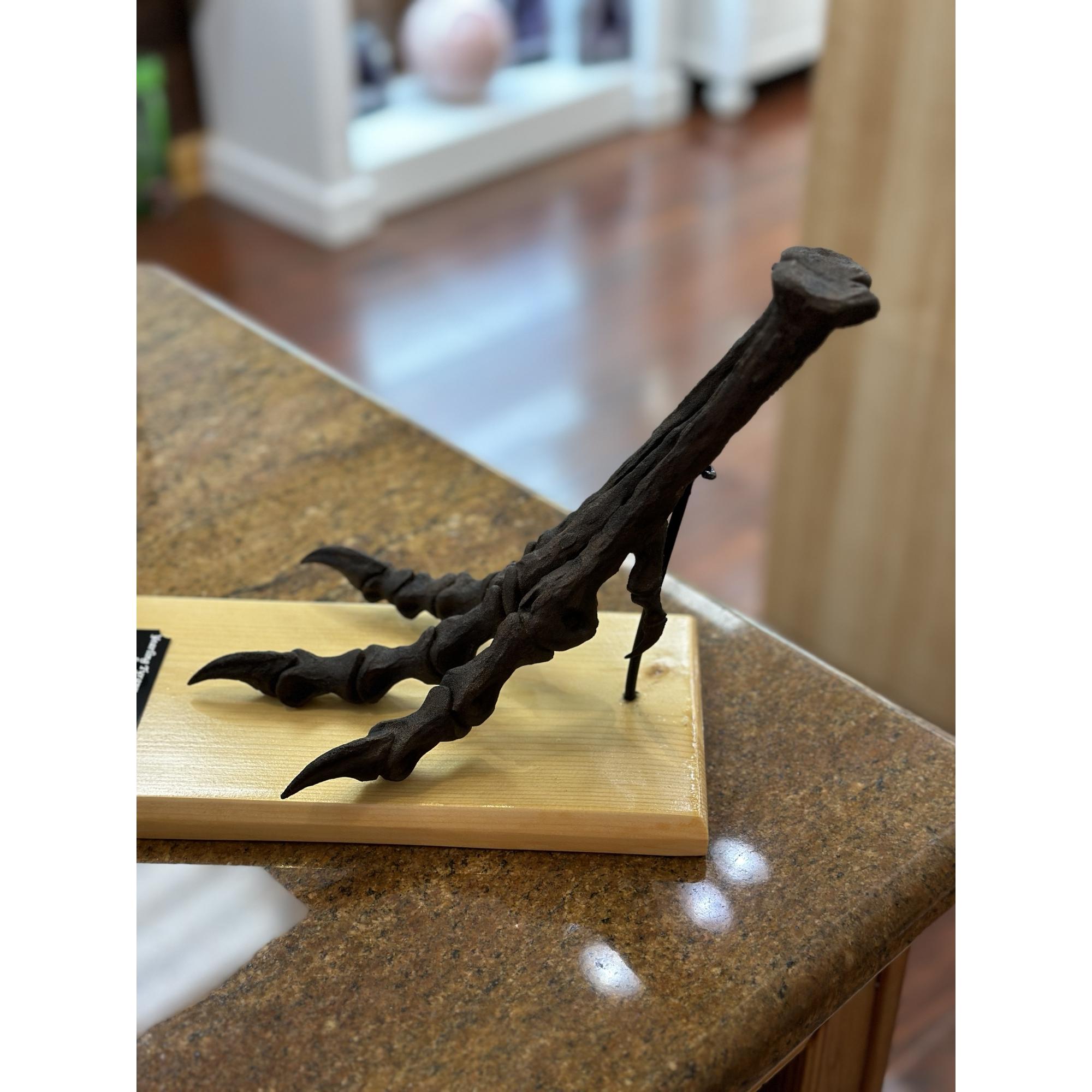 Tyrannosaurus Rex yearling Foot Replica Prehistoric Online