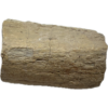 Stegosaurus Dinosaur Bone, Montana Prehistoric Online