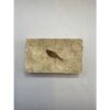 Knightia Fossil Fish, Green river Prehistoric Online