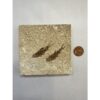 Knightia Fossil Fish, Wyoming, twins Prehistoric Online