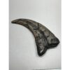 Suchomimus Dinosaur Claw Replica Prehistoric Online