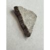 Saltasaurus Dinosaur Eggshell fragment Prehistoric Online