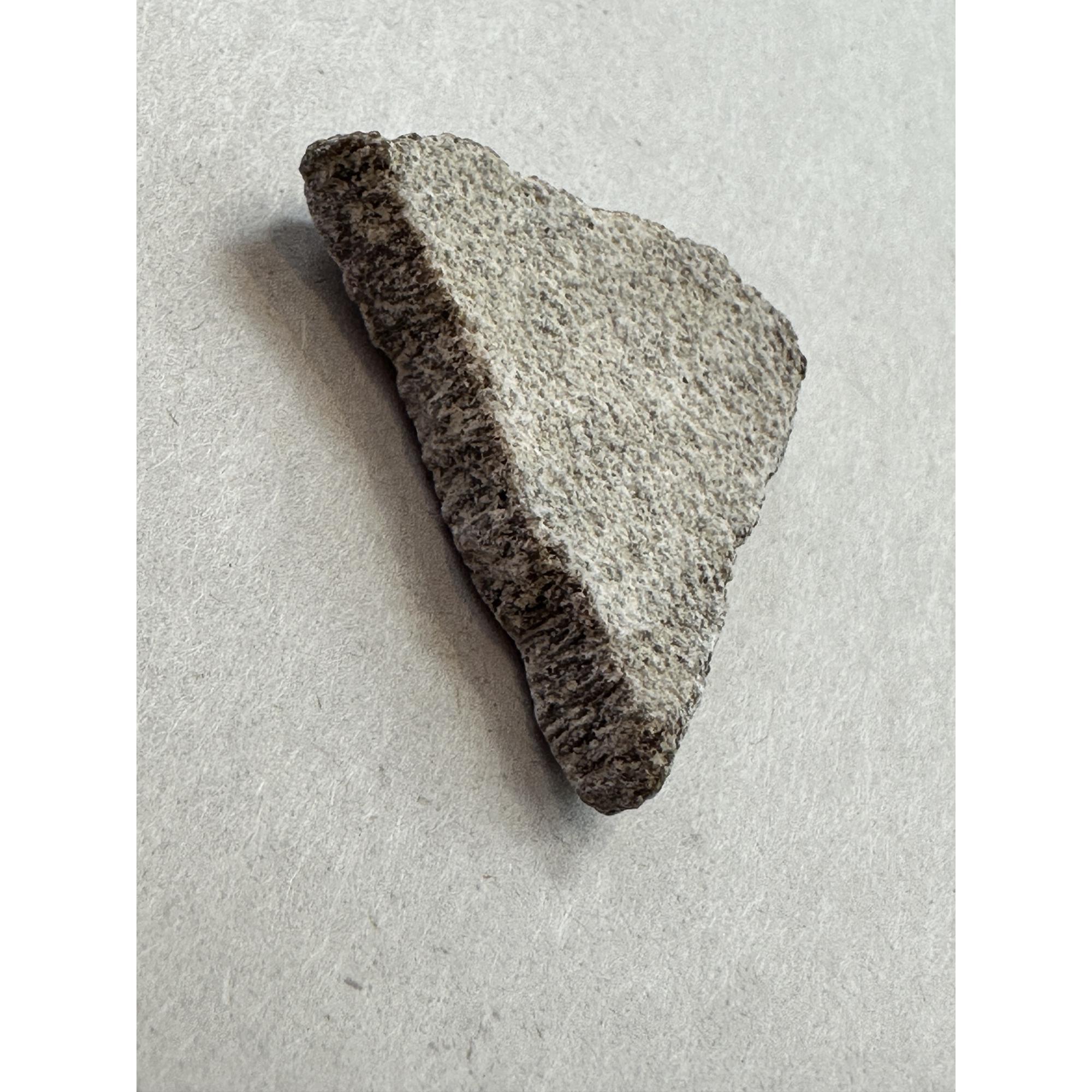 Saltasaurus Dinosaur Eggshell fragment Prehistoric Online