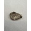 Saltasaurus Dinosaur Egg fragment Prehistoric Online