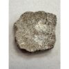 Saltasaurus Dinosaur Eggshell Prehistoric Online