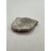 Saltasaurus Dinosaur Eggshell Prehistoric Online