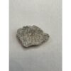 Saltasaurus Dinosaur Eggshell Prehistoric Online