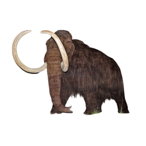 Mammoth