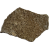 Megaloolithus Dinosaur Eggshell Prehistoric Online