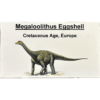 Megaloolithus Dinosaur Eggshell Prehistoric Online