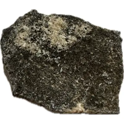 Megaloolithus Dinosaur Eggshell