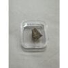 Megaloolithus Dinosaur Eggshell Prehistoric Online