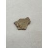 Megaloolithus Dinosaur Eggshell Prehistoric Online