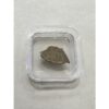 Megaloolithus Dinosaur Eggshell Prehistoric Online