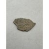 Megaloolithus Dinosaur Eggshell Prehistoric Online