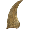 Spinosaurus composite bone Claw Prehistoric Online