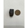 Triceratops Tooth, Very Large Prehistoric Online