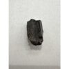 Triceratops Tooth, Very Large Prehistoric Online