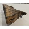 Woolly Mammoth Tooth, full root Prehistoric Online