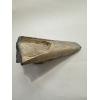 Mastodon Tusk, Florida, 6″ section Prehistoric Online