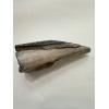 Mastodon Tusk, Florida, 6″ section Prehistoric Online