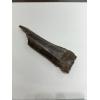 Fossil Bison Bone, Bison Antiquus Prehistoric Online