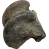 Fossil Bison, Antiquus bone end Prehistoric Online