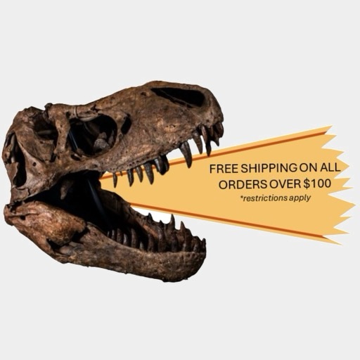 free shipping over $100