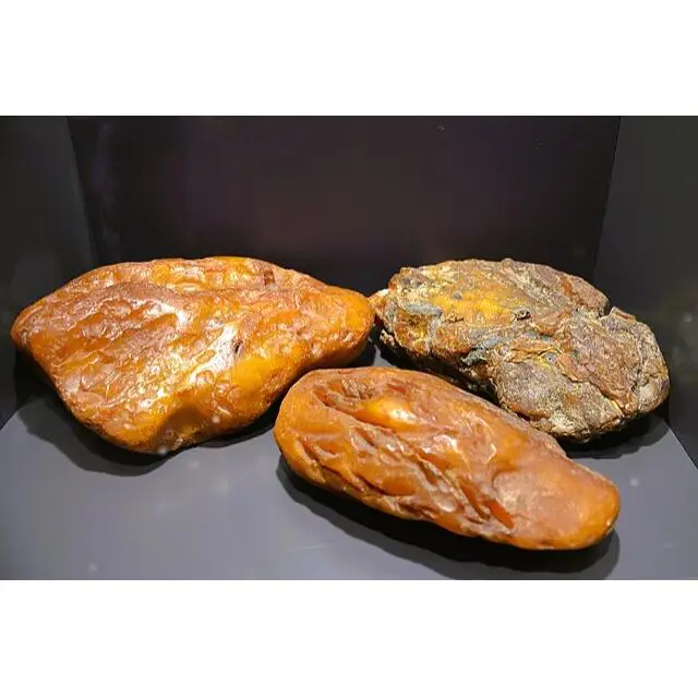 Amber, hand carved Eagle Head