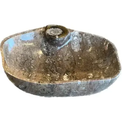 Orthoceras bowl, Morocco