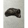 Sikhote Alin meteorite Prehistoric Online