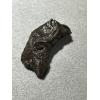 Sikhote Alin meteorite Prehistoric Online