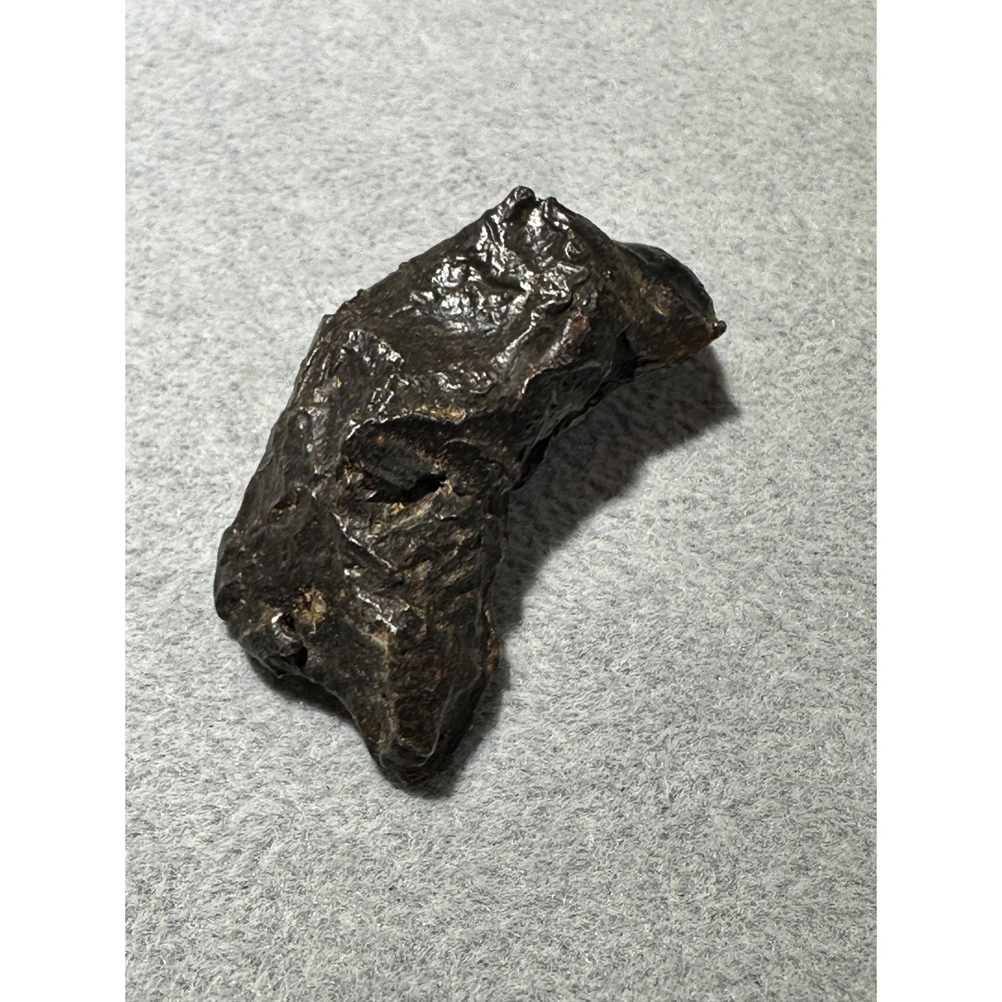 Sikhote Alin meteorite Prehistoric Online