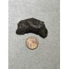 Sikhote Alin meteorite Prehistoric Online