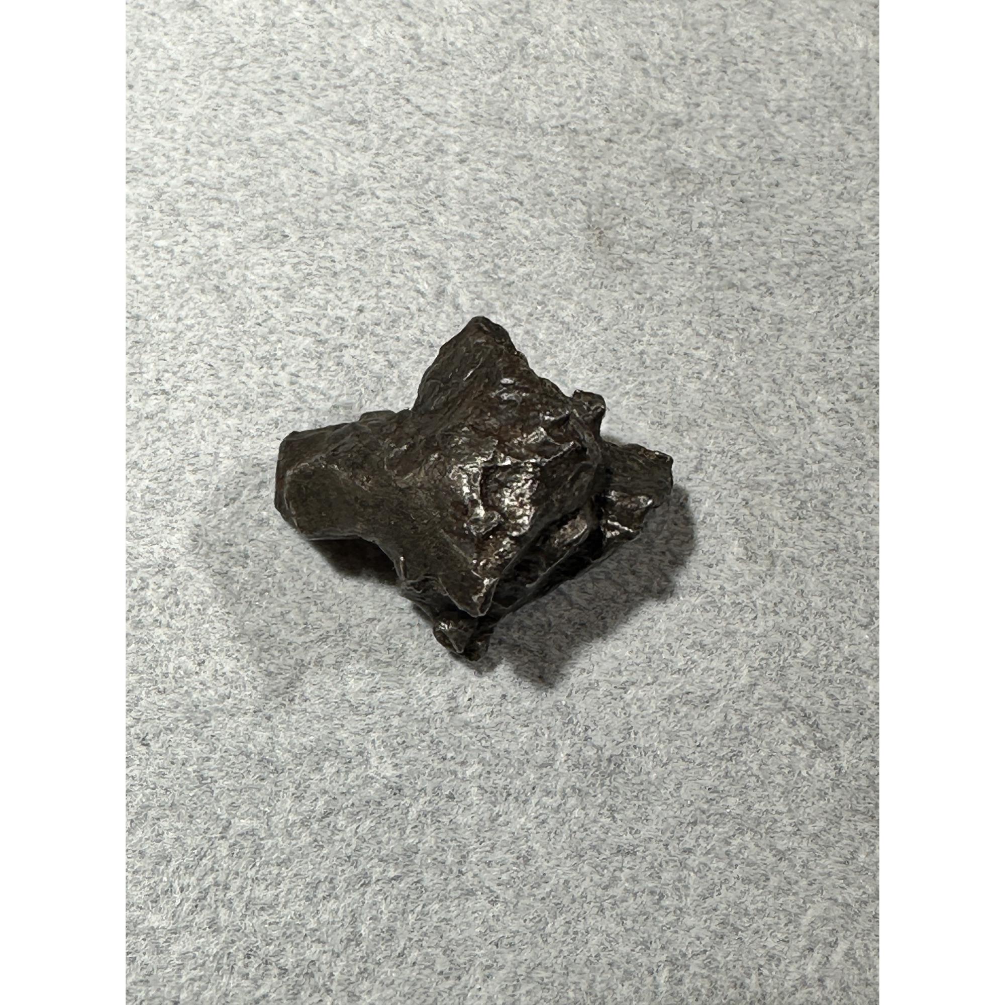 Sikhote Alin meteorite, Russia Prehistoric Online