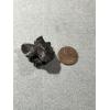 Sikhote Alin meteorite, Russia Prehistoric Online