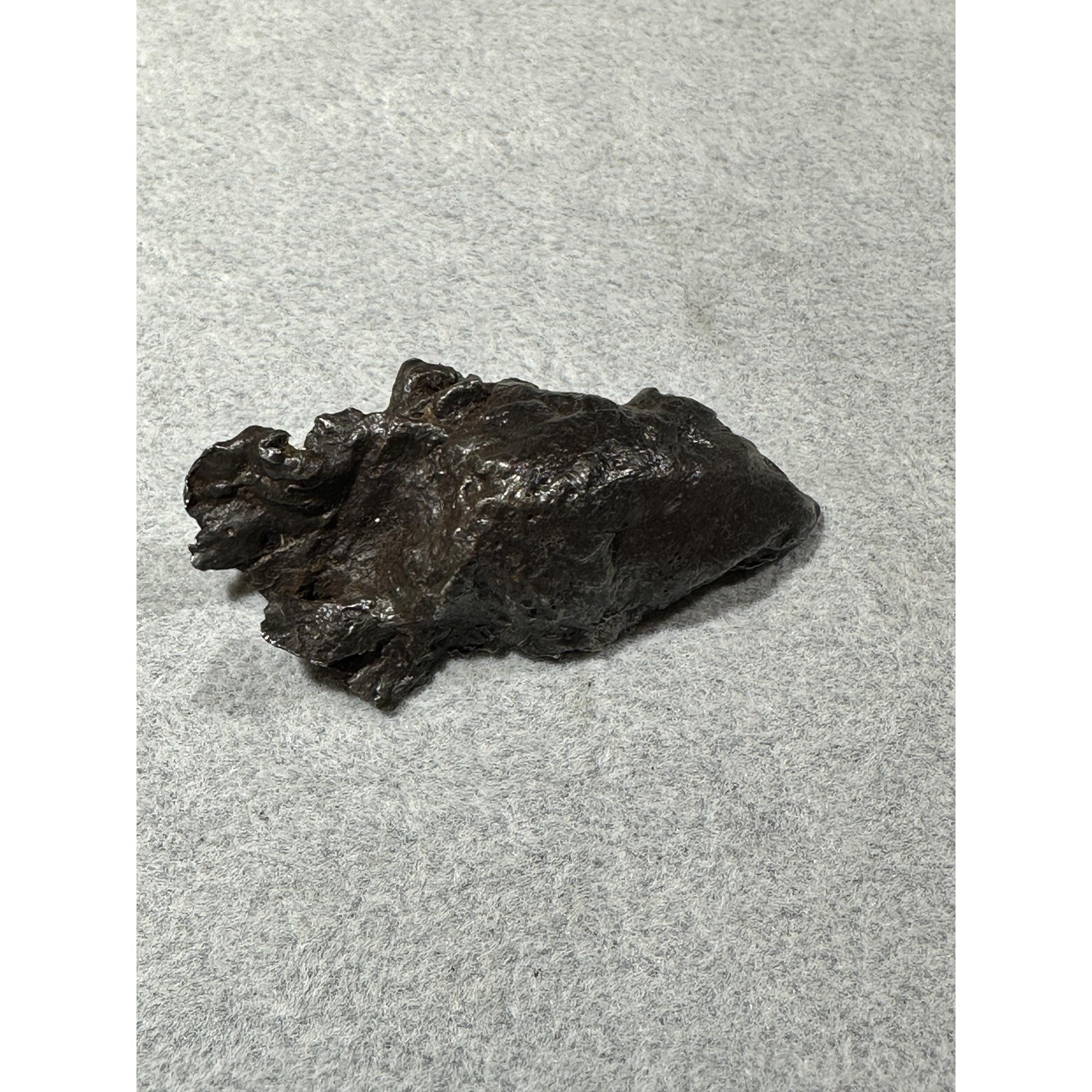 Sikhote Alin meteorite Prehistoric Online