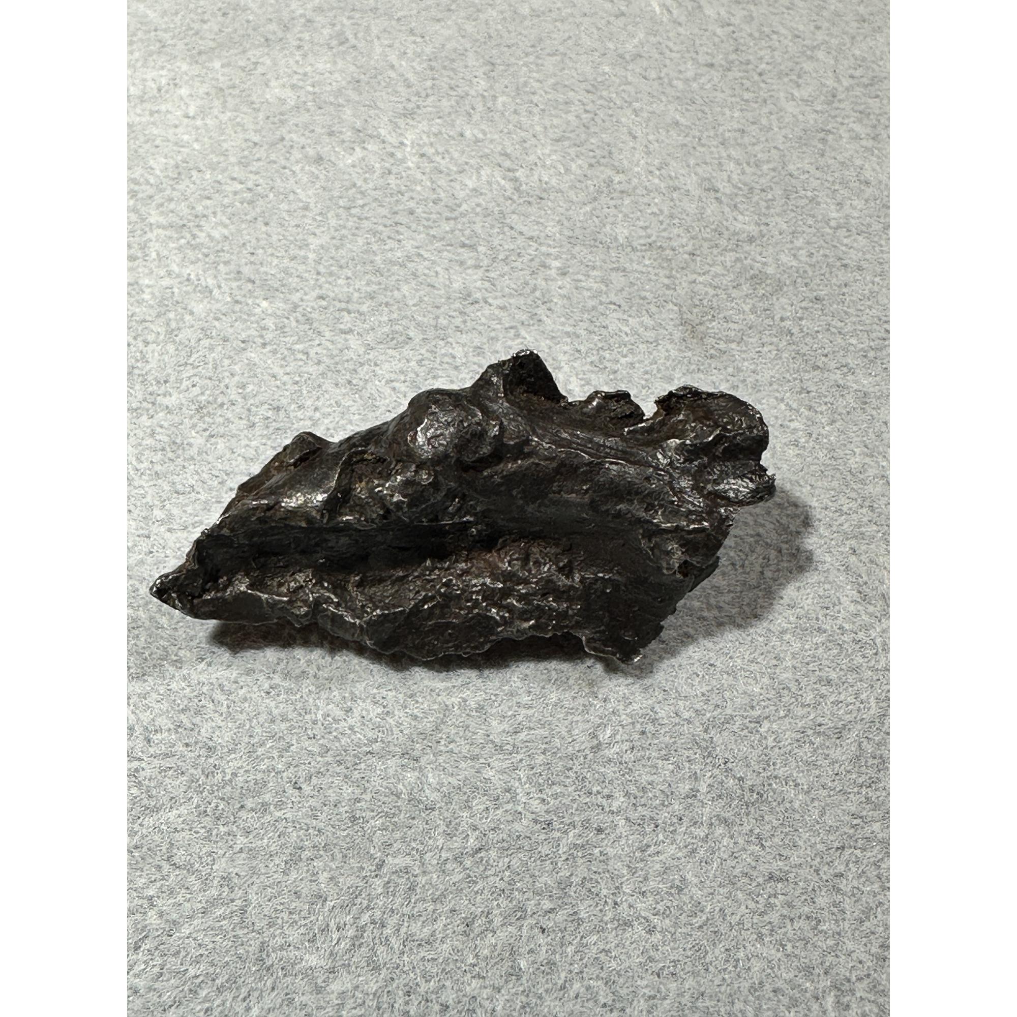 Sikhote Alin meteorite Prehistoric Online