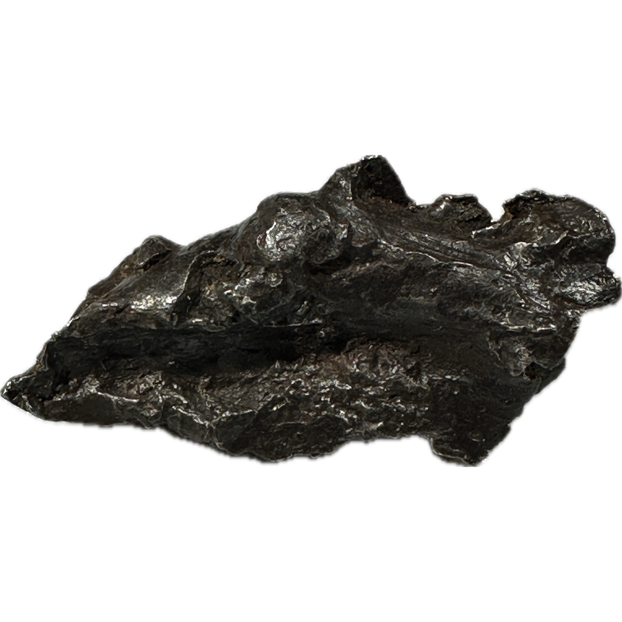 Sikhote Alin meteorite Prehistoric Online