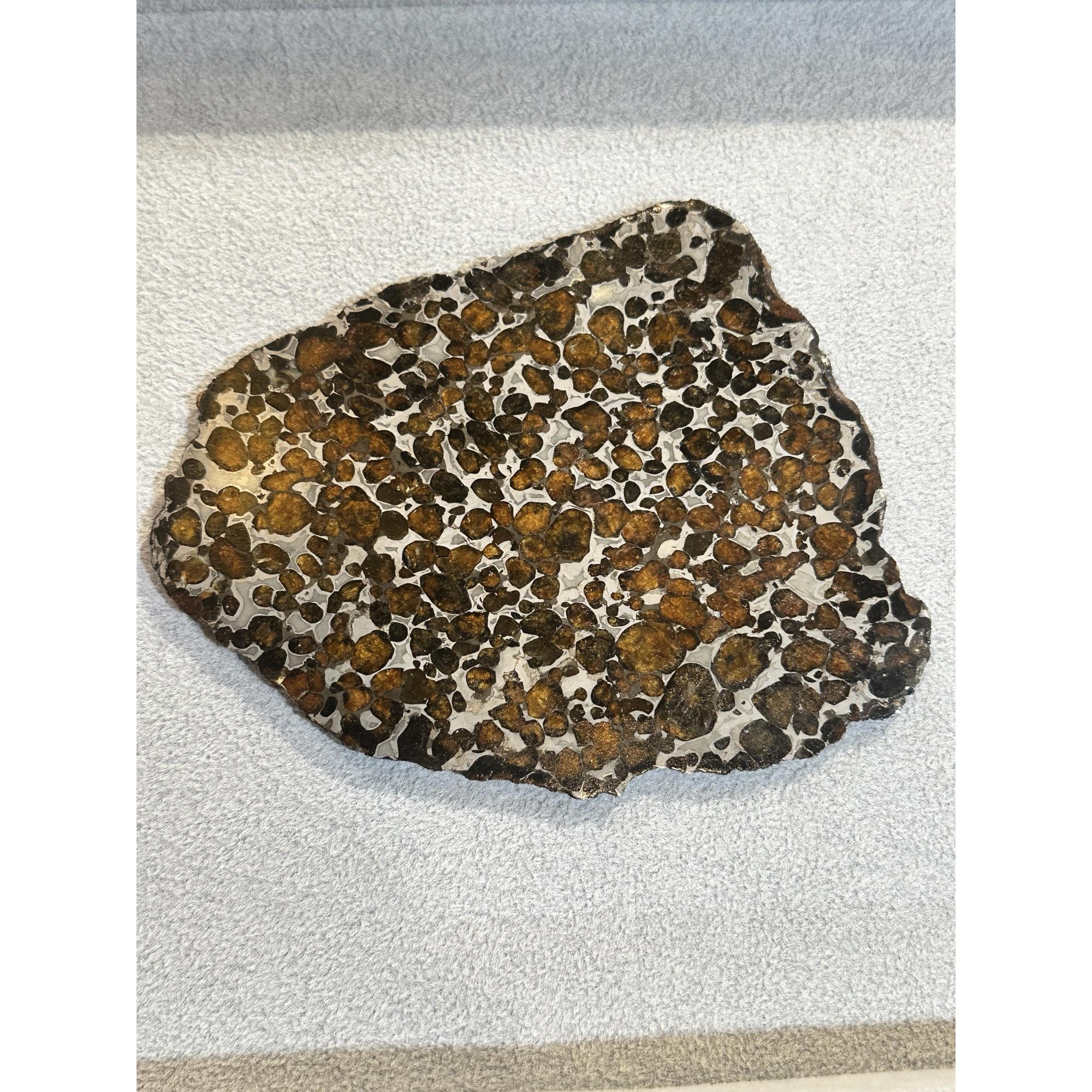 Meteorite, Sericho, Africa Prehistoric Online