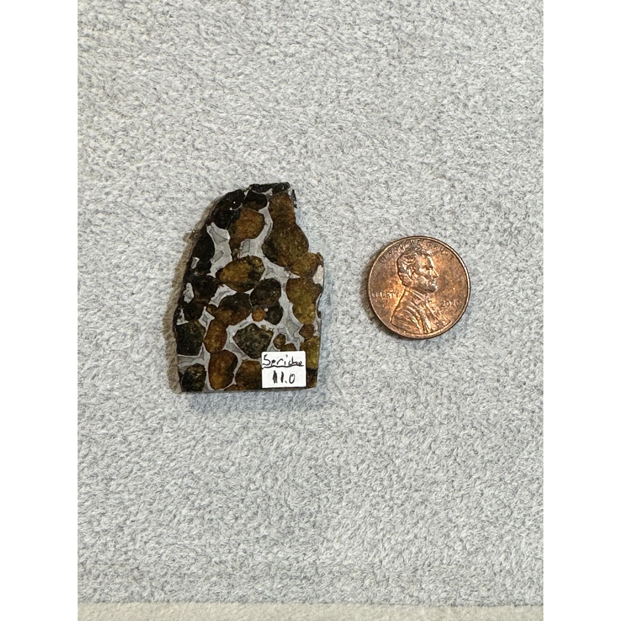 Meteorite, Sericho, Kenya Prehistoric Online