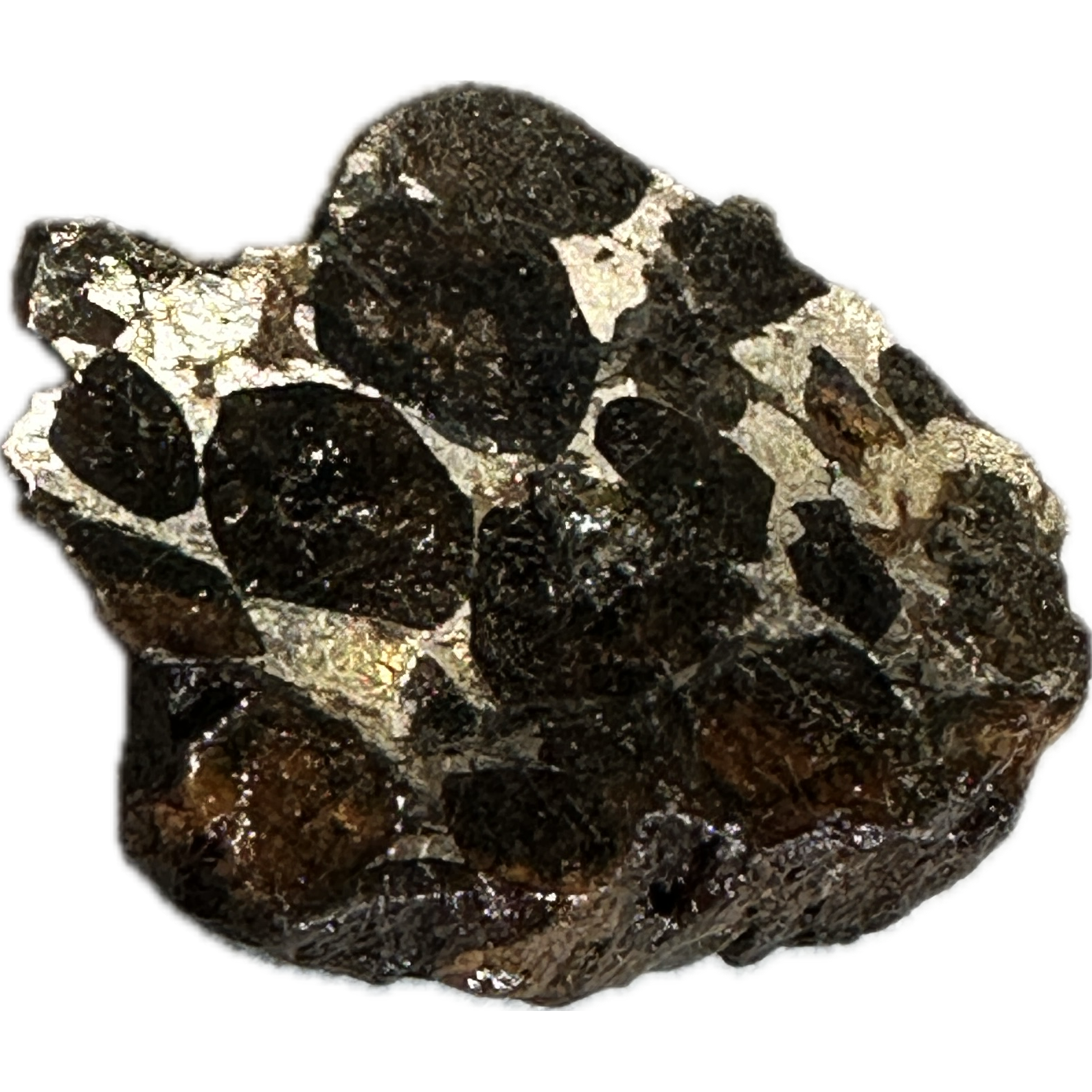 Meteorite, Sericho, end cut Prehistoric Online